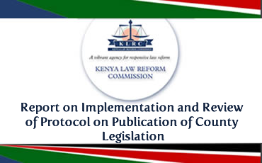 Report on Implementation and Review of Protocol on Publication of County Legislation